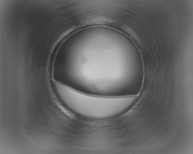 X0000074031026200608211131