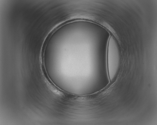X0000074031028200608211131