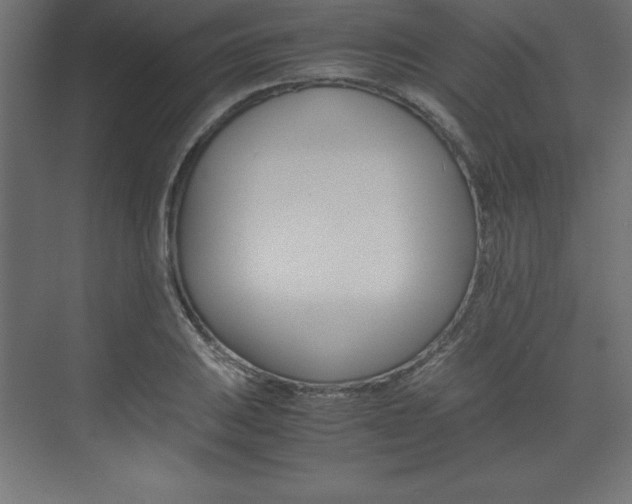 X0000074031031200608211131