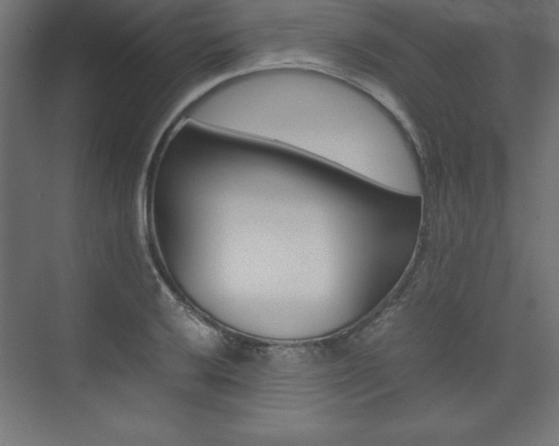 X0000074031032200608211131