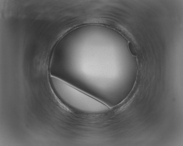 X0000074031033200608211131
