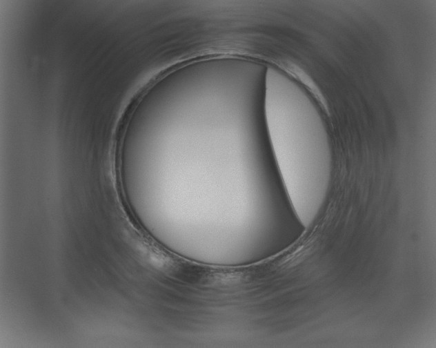 X0000074031035200608211131