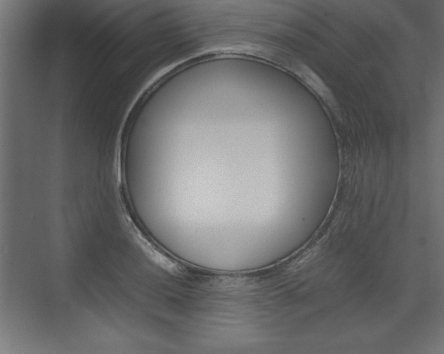 X0000074031036200608211131