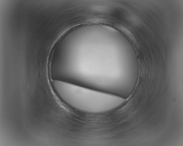 X0000074031039200608211131