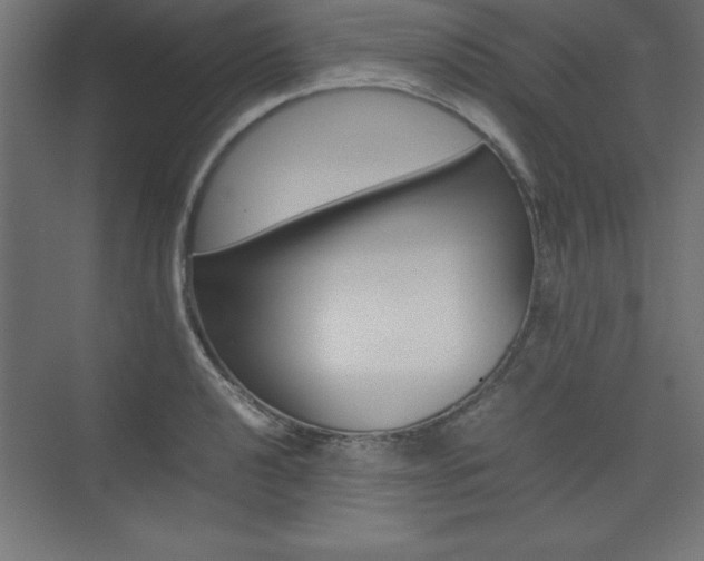 X0000074031040200608211131
