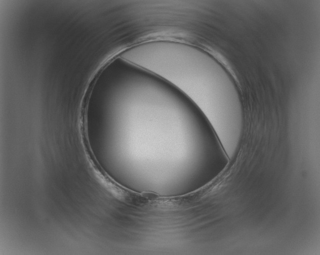 X0000074031042200608211131