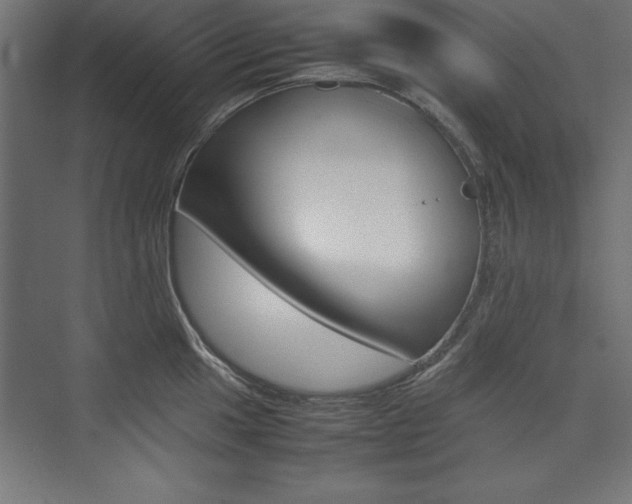 X0000074031049200608211131