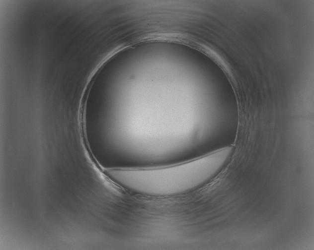 X0000074031050200608211131