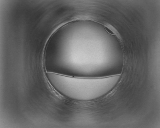 X0000074031052200608211131