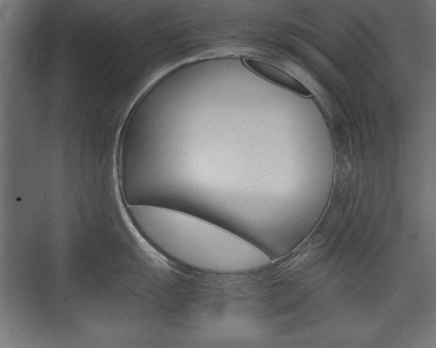 X0000074031055200608211131