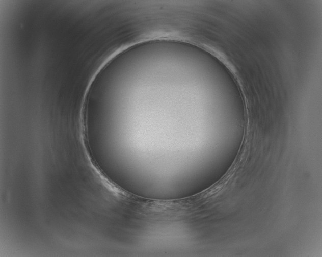X0000074031056200608211131