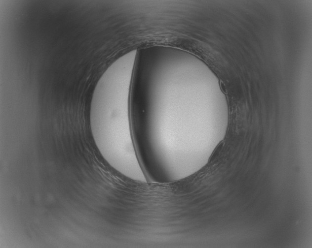 X0000074031058200608211130