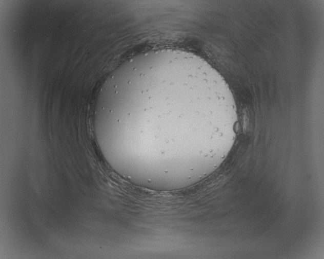 X0000074031059200608211130