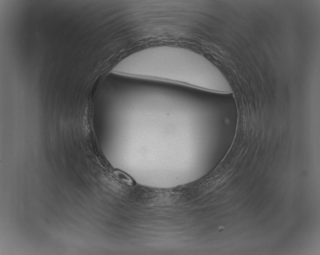 X0000074031060200608211130