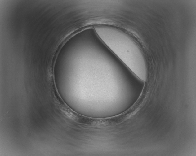 X0000074031073200608211130