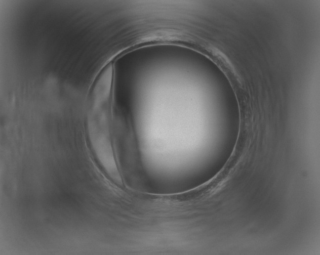 X0000074031081200608211130