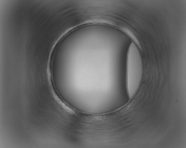 X0000074031084200608211130