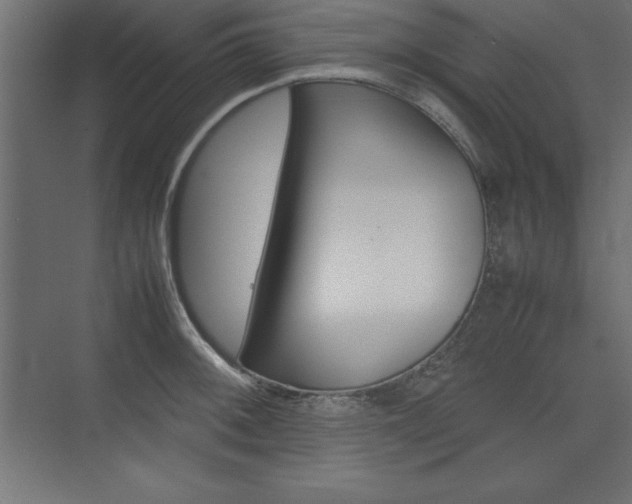 X0000074031092200608211130