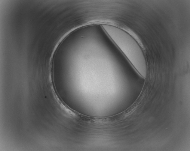 X0000074031102200608211129