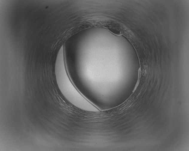 X0000074031108200608211129