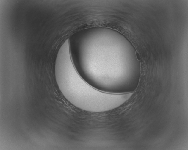 X0000074031109200608211129