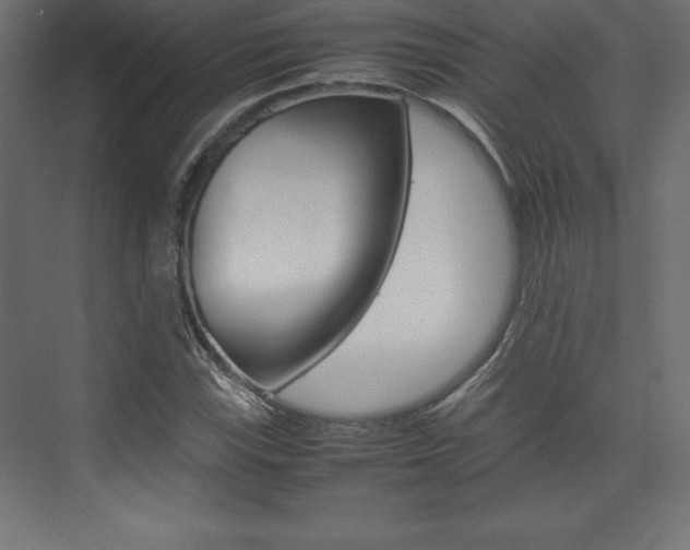 X0000074031115200608211129