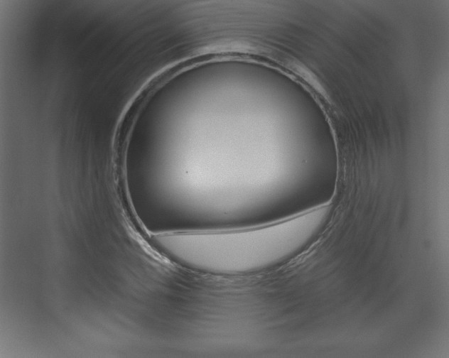 X0000074031116200608211129