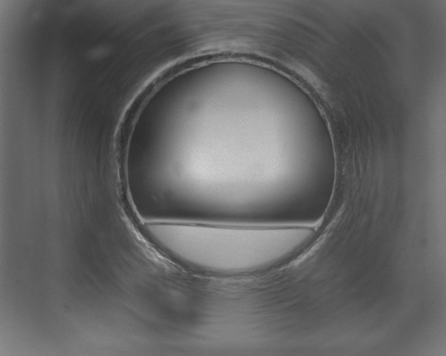 X0000074031118200608211129