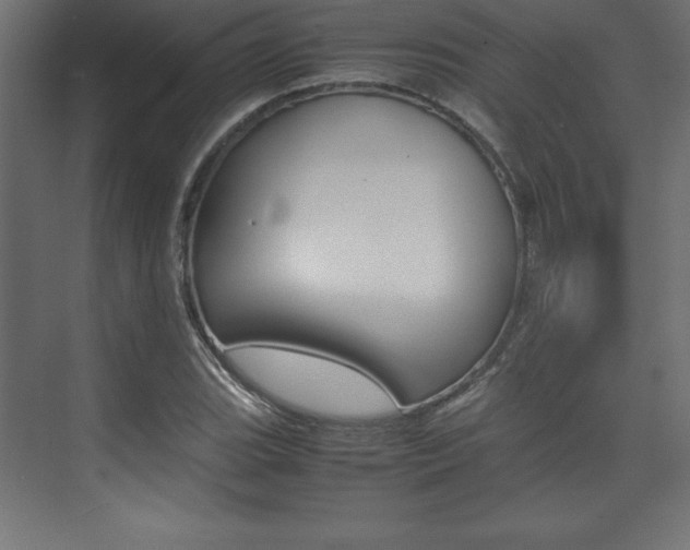 X0000074031119200608211129