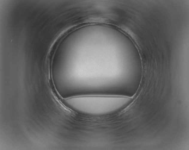 X0000074031123200608211129