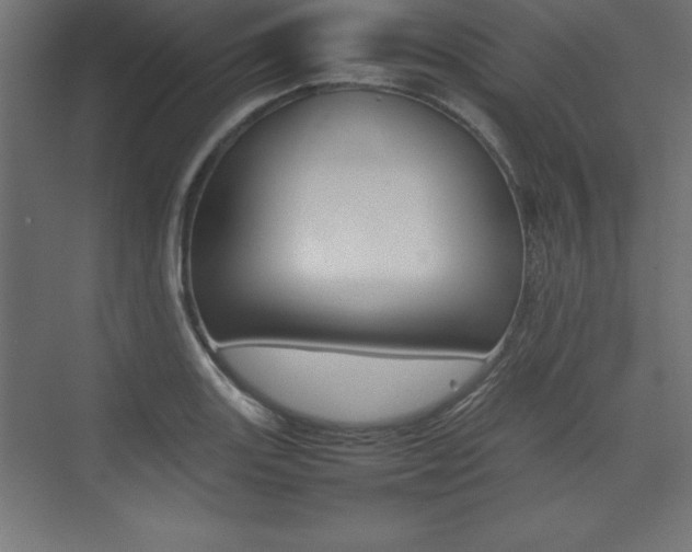 X0000074031131200608211129