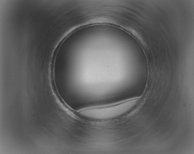 X0000074031134200608211129