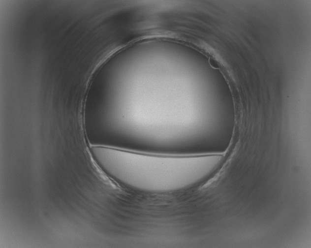 X0000074031137200608211129