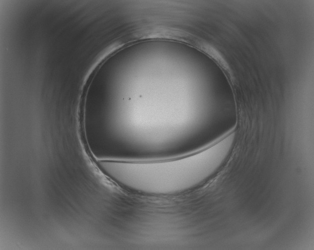 X0000074031138200608211129