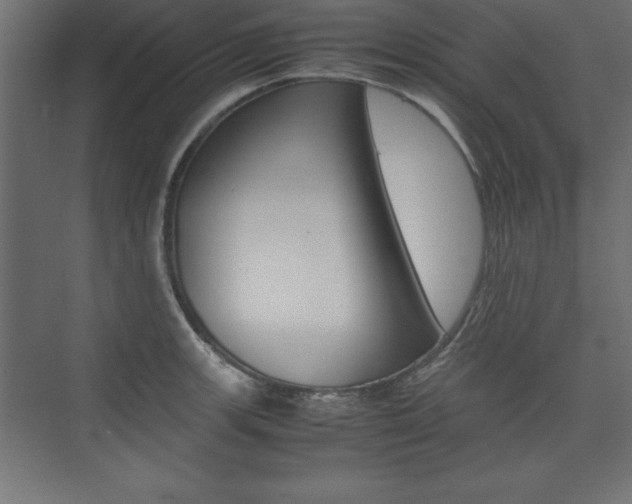 X0000074031139200608211129