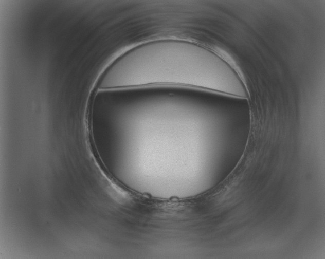X0000074031141200608211129
