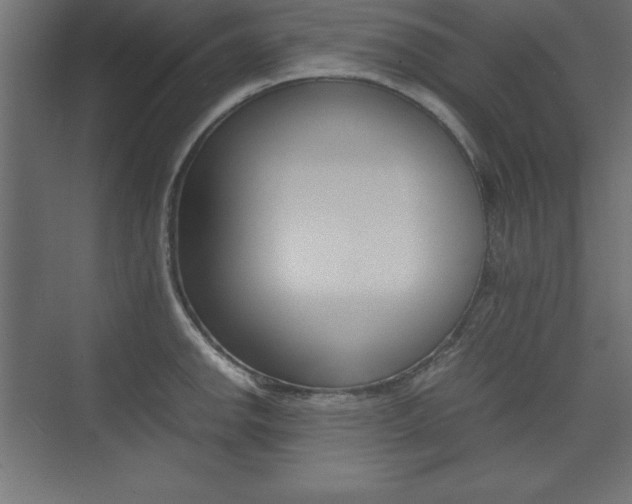 X0000074031142200608211129