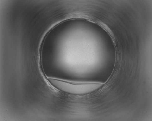 X0000074031144200608211129
