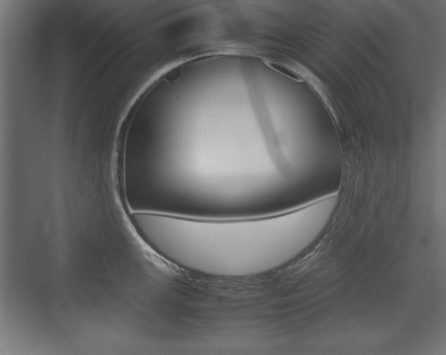 X0000074031147200608211129
