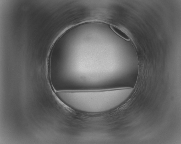 X0000074031151200608211129