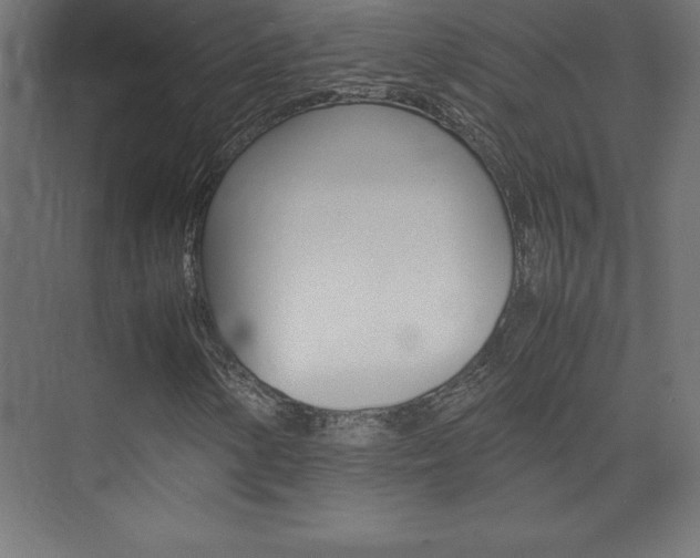 X0000074031154200608211129