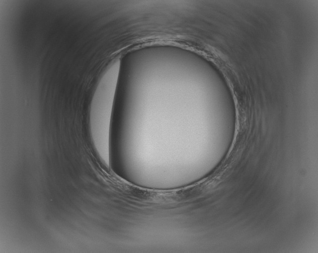 X0000074031161200608211128