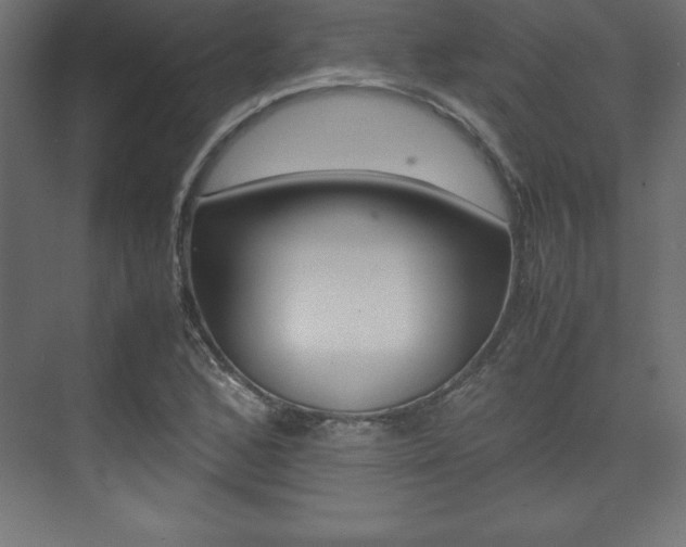 X0000074031168200608211128