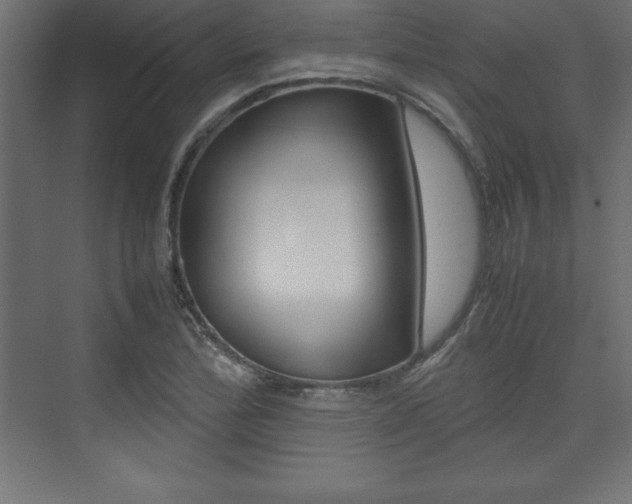 X0000074031172200608211128