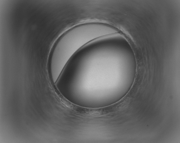 X0000074031173200608211128