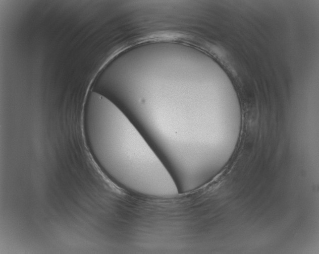 X0000074031186200608211128