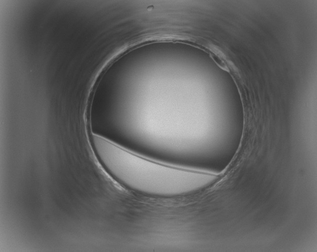 X0000074031189200608211128