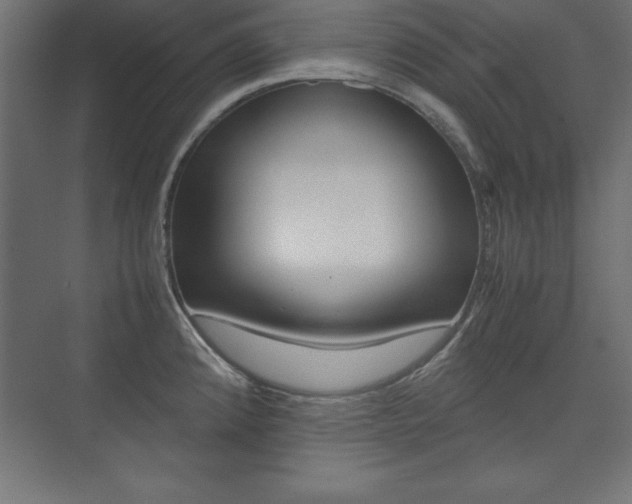 X0000074031192200608211128