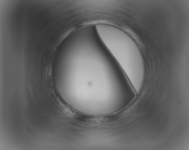 X0000074031193200608211128