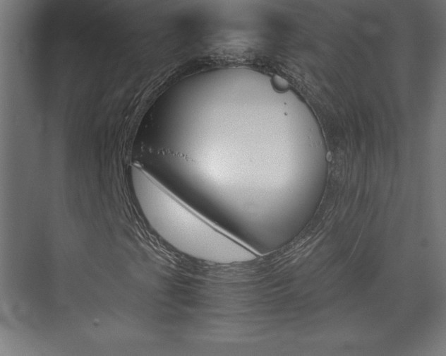 X0000074031201200608211127